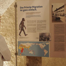 PA175388.JPG