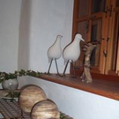 419192.jpg