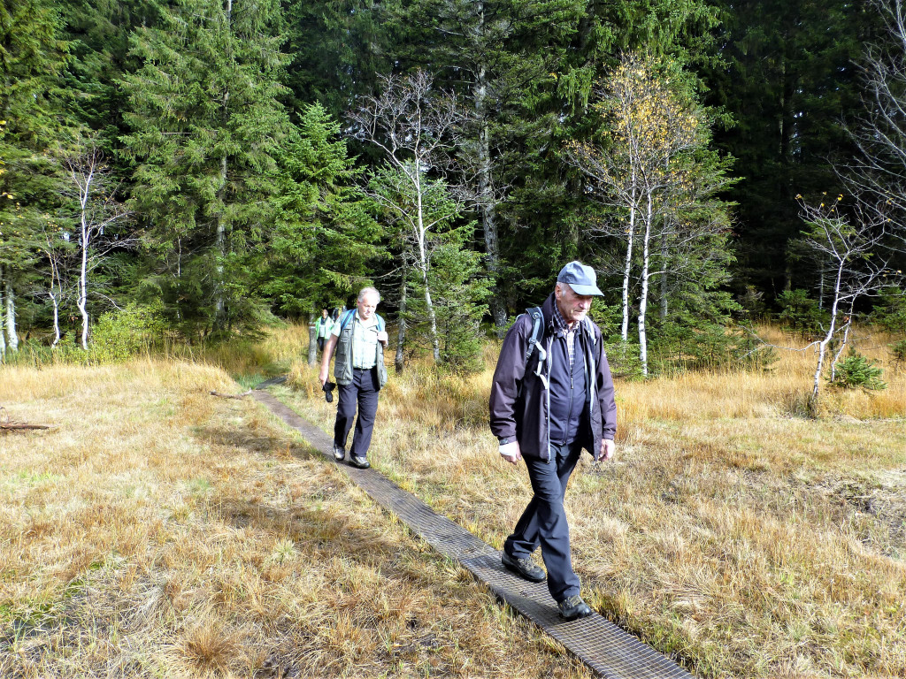 P1100864.JPG