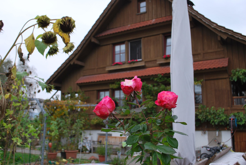DSC_1931.JPG