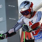 Austria_Alpine_Skiing_World_Cup_62442.jpg