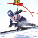 Austria_Alpine_Skiing_World_Cup_33752.jpg