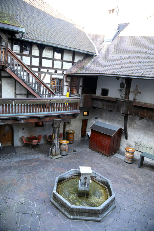 IMG_6545.JPG