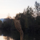 PA256148.JPG