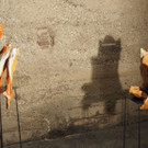 PA256164.JPG