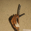 PA256165.JPG