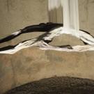PA256169.JPG