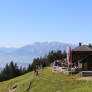 IMG_4229.JPG