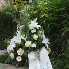 PA256104.JPG