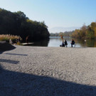 PA266727.JPG