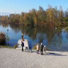 PA266735.JPG