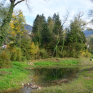 MC 271019_28.JPG