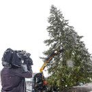 2019-10-30-christbaum30101909-jpg.jpg