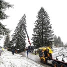2019-10-30-christbaum301019011-jpg.jpg