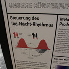 IMG_4365.JPG