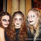 3_DSC00221_JPG-1572575831.jpg