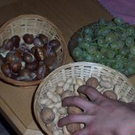439037.jpg