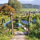 DSC_7926.JPG