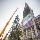 ABD0043-20191105.jpg