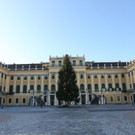 Baum steht_c_www_weihnachtsmarkt_co_at_FOTOFALLY_4018.JPG