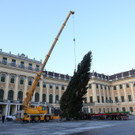 Baum wird vom Tieflader gehoben_c_www_weihnachtsmarkt_co_at_FOTOFALLY_3860.JPG