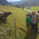 bild 2 n.jpg