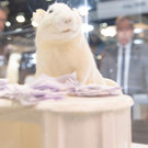 Buch Wien 19 - Messe Wien - Die Eroeffnung - 07_11_2019 _64 von 59_.jpg
