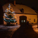 DSC_0114.JPG