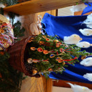 DSC_0263.JPG