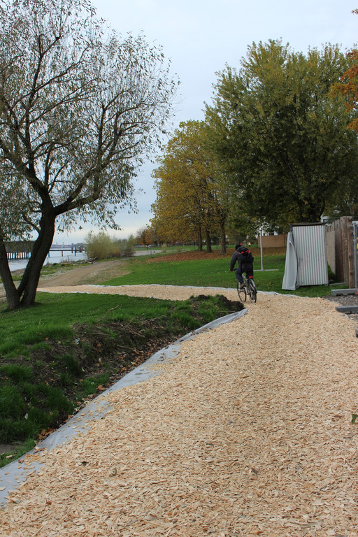 Fu__- und Radweg am See UMLEITUNG nach SPERRE 07-11-2019 _15_.JPG