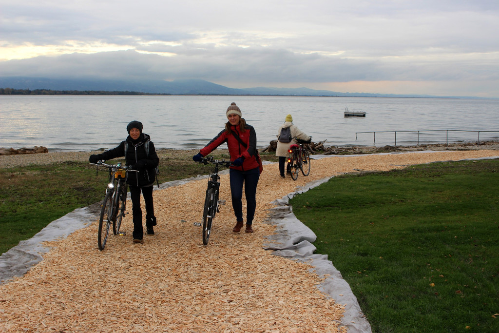 Fu__- und Radweg am See UMLEITUNG nach SPERRE 07-11-2019 _18_.JPG