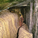 ABD0053-20191108.jpg