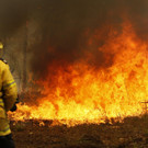 Australia_Wildfires_03958.jpg