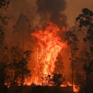 AFP_1M4672.jpg