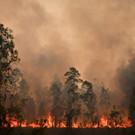 AFP_1M46OE.jpg