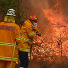 AFP_1M45D2.jpg