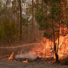 AFP_1M45DF.jpg