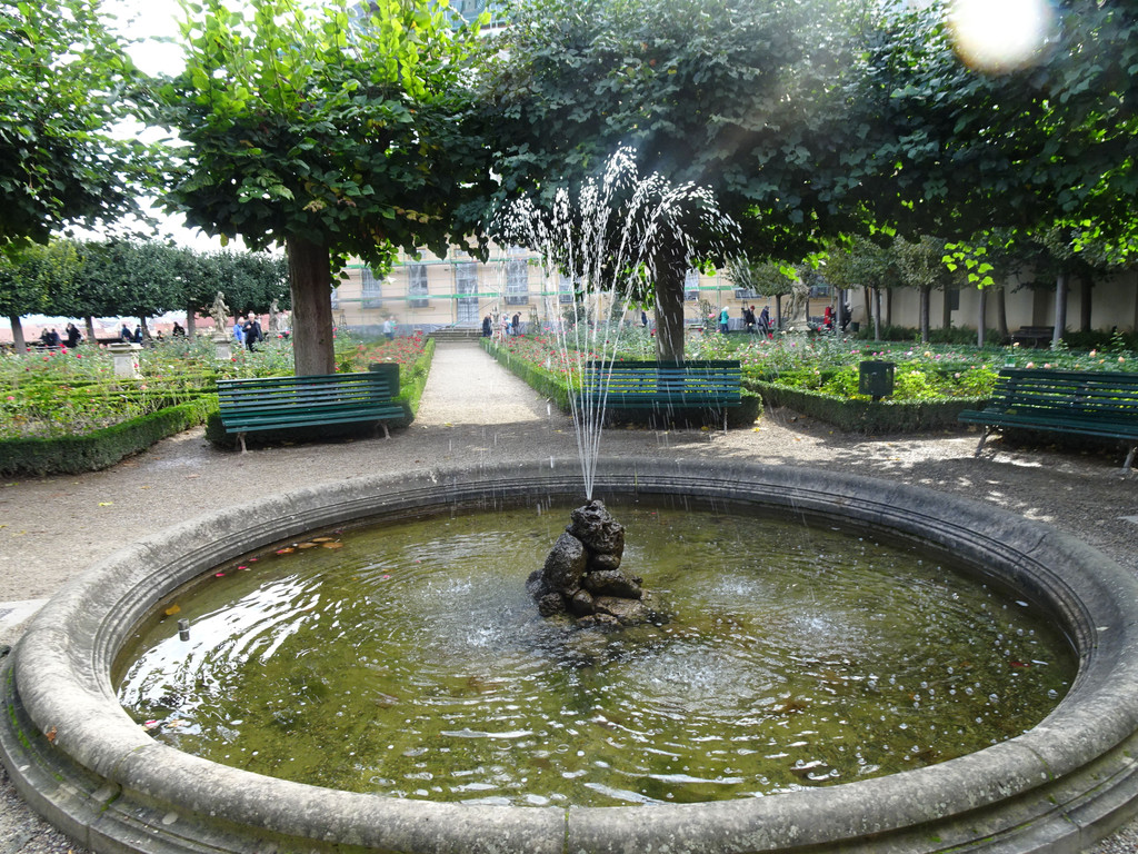 DSC05898.JPG