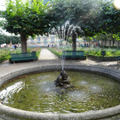 DSC05898.JPG
