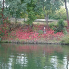 DSC06008.JPG