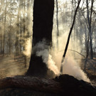 AFP_1M5448.jpg
