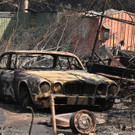 AFP_1M542F.jpg