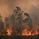 AFP_1M46OB.jpg