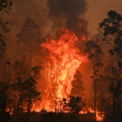 AFP_1M4672.jpg