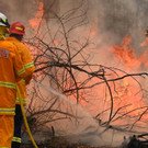 AFP_1M45D7.jpg