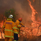 AFP_1M45D3.jpg