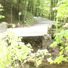 IMG_7488.JPG