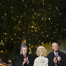 Illuminierung des Weihnachtsbaums am Rathausplatz