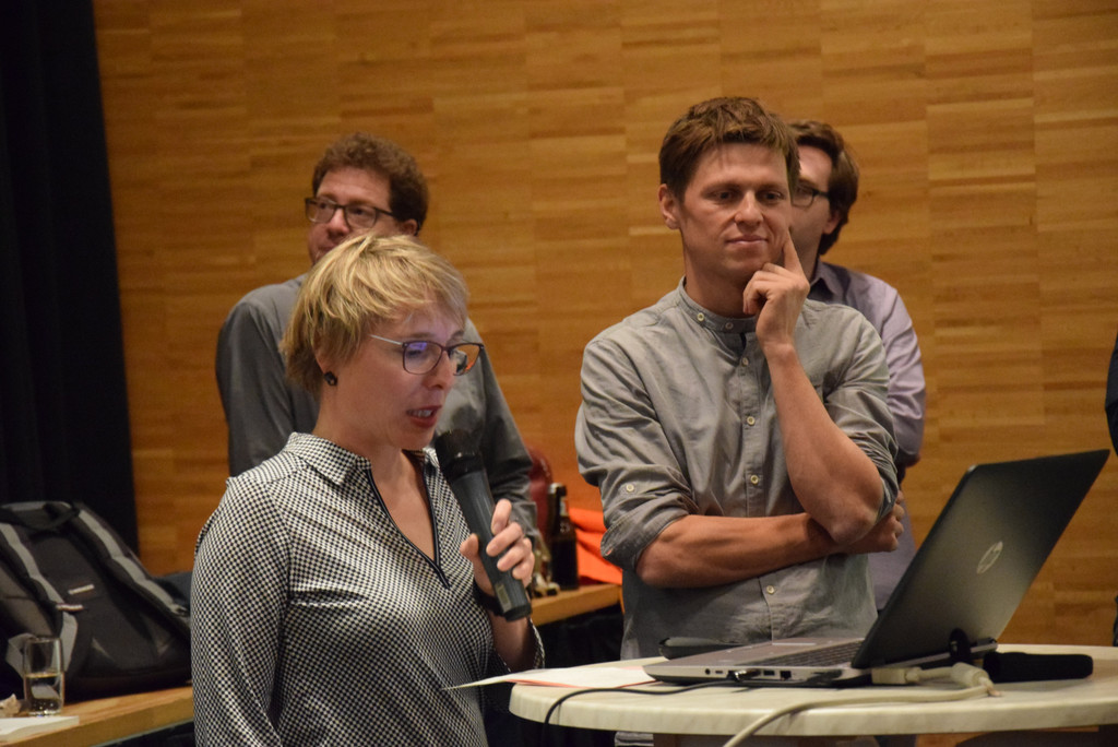 DSC_2082a - Kopie.jpg