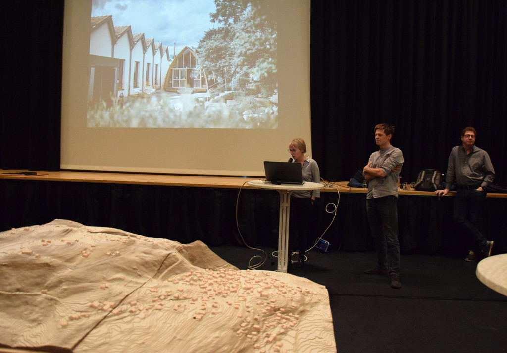 DSC_2083a - Kopie.jpg